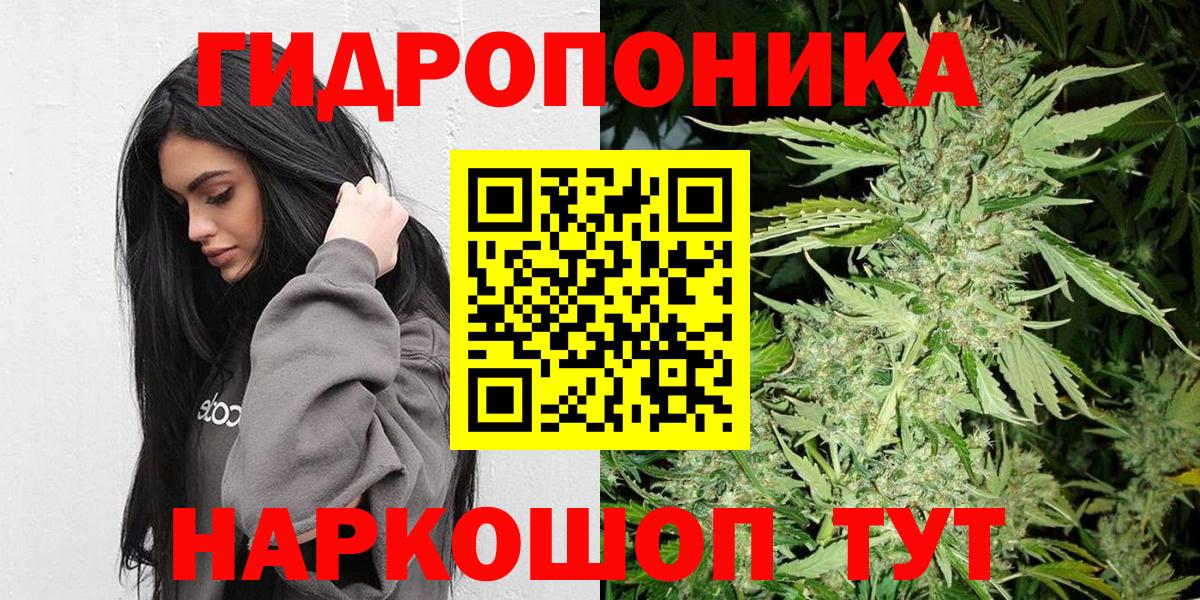 Каннабис гибрид  Конопля MAZAR  Отрадное  Вход с VPN  Бошки Шишки Bruce Banner  Конопля SATIVA & INDICA 